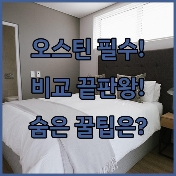 오스틴 인기 호텔 3곳 완벽 비교 위치와 정책까지 숨겨진 혜택 대공개