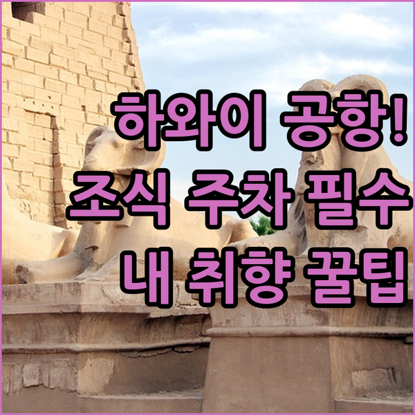 굿모닝 조식파 무료 주차파 호놀룰루 공항 호텔 내 취향대로 고르는 법