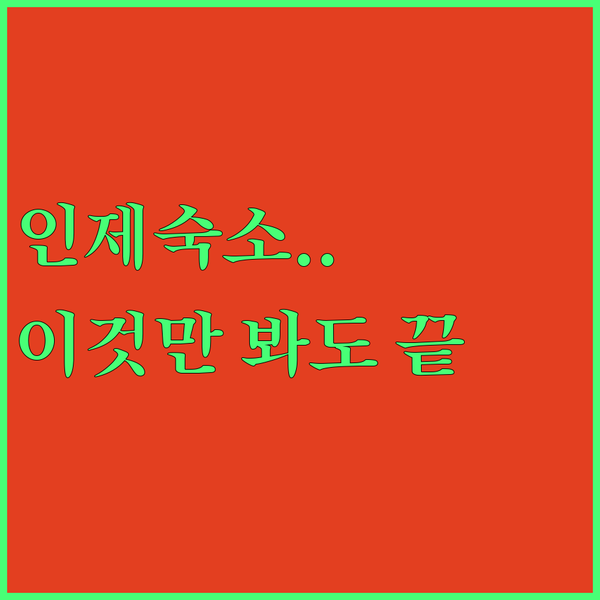 자연 힐링부터 가성비까지 인제 숙소 완벽 비교