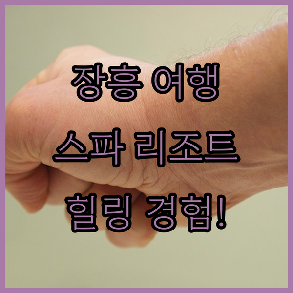 장흥 여행객 주목! 스파리조트 안단테, 자연 속 힐링 경험! 어떠세요?