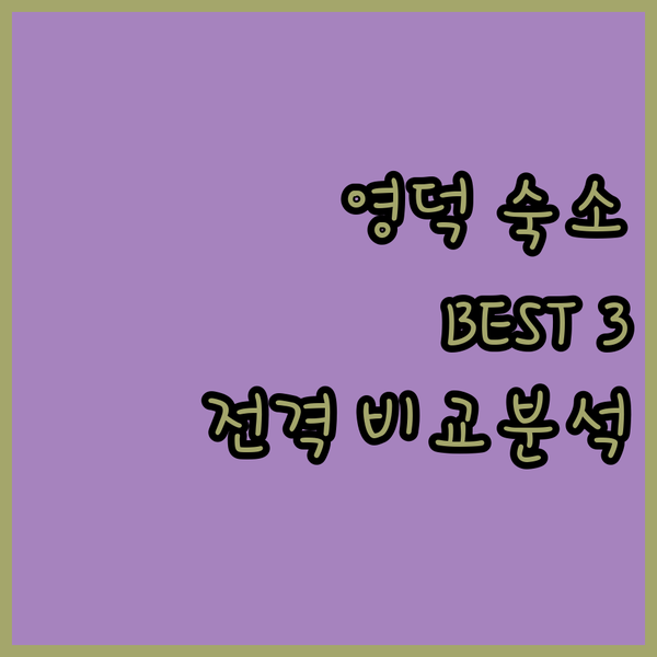 영덕 여행, 어디서 묵을까? 연화문호텔, 파나크, 글로리엘 완벽 비교!