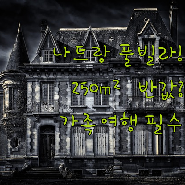 나트랑 깜란 가족 여행 숙소 250제곱미터 풀빌라를 반값에 얻는 현명한 비법