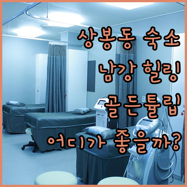 진주 상봉동 숙소 추천 남강 따라 떠나는 힐링 여행 골든튤립 호텔남강 브라운 도트 호텔 동방 호텔