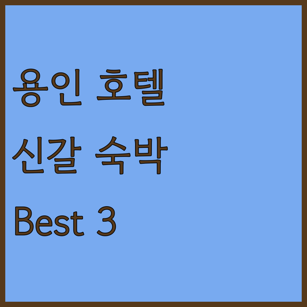 용인 호텔 추천 신갈에서 만나는 특별한 숙박 경험 Best 3