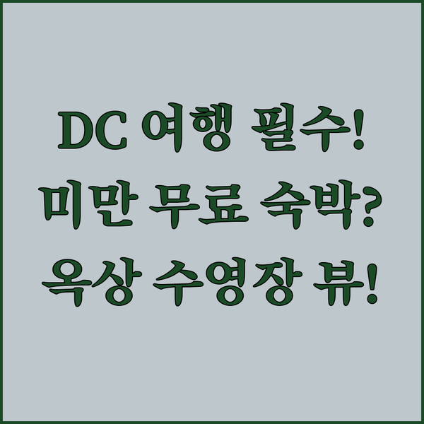 워싱턴 D.C. 가족 여행 꿀팁 18세 미만 무료 숙박 홀리데이 인 옥상 수영장 후기