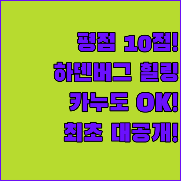 객실 평점 10점 카누까지 네덜란드 하덴버그 힐링 숙소 대공개