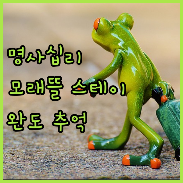 명사십리 해변 바로 앞 모래뜰 스테이, 완도에서의 잊지 못할 추억 만들기!