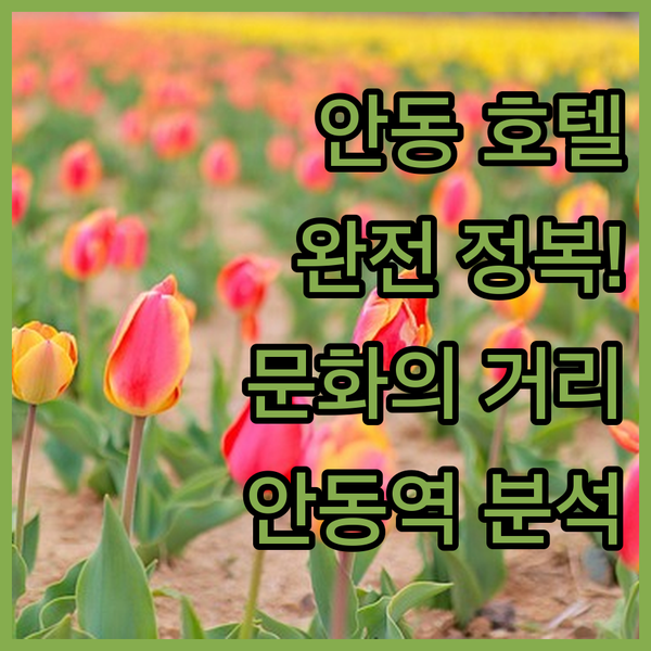 안동 호텔 완전 정복! 문화의 거리, 안동역, 파크 호텔 완벽 분석