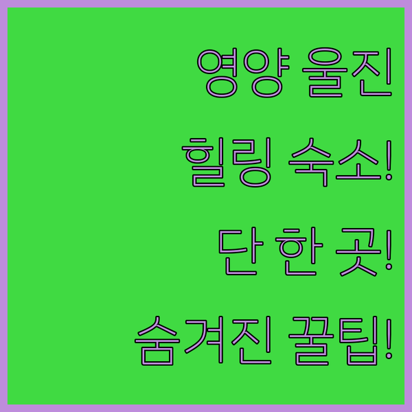영양과 울진에 숨겨진 힐링 숙소 단 한 곳만 고른다면