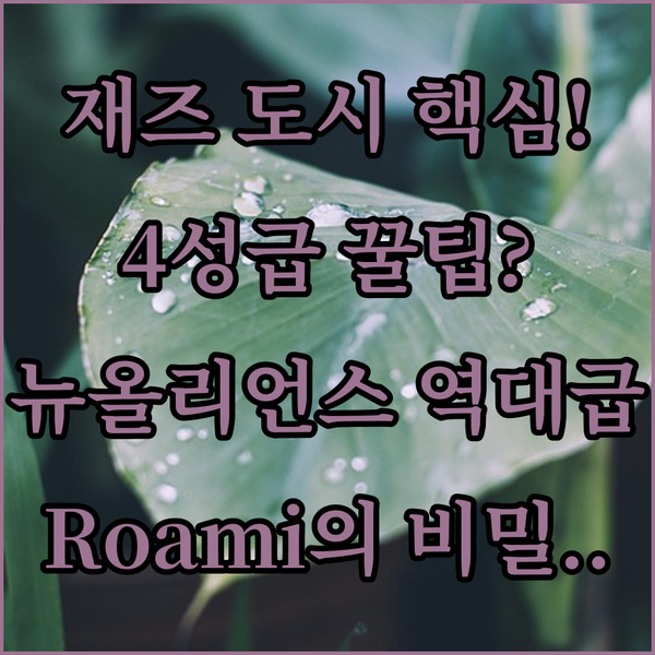 재즈의 도시 뉴올리언스 스토리 빌 4성급 Roami at Canal Quarters의 특별한 매력