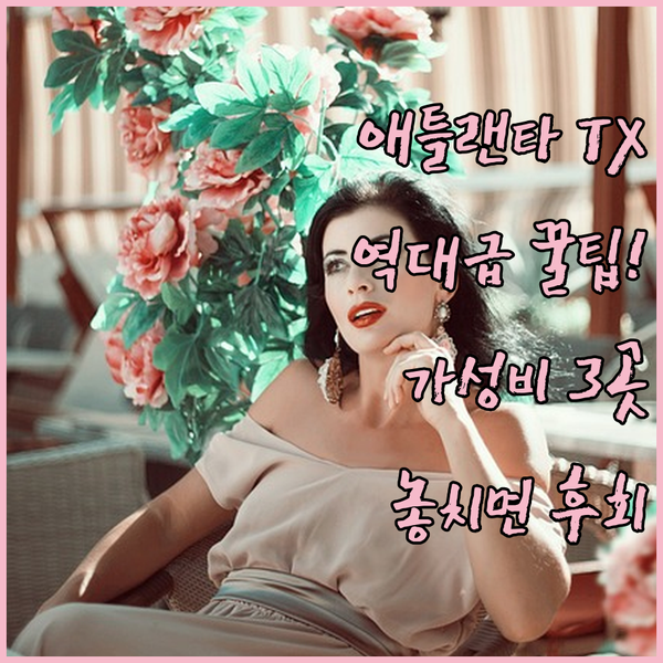 1성급부터 베스트셀러까지 애틀랜타 TX 가성비 숙소 3곳의 숨겨진 장점