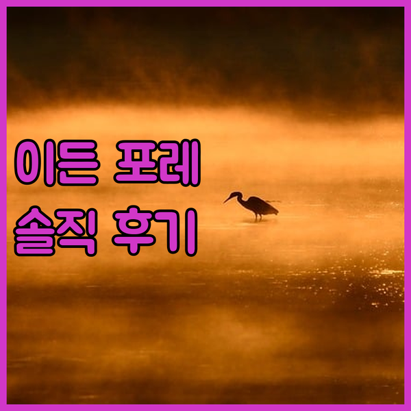 충주 ‘이든 포레 호텔’, 가성비 숙소일까? 실제 투숙객 후기 전격 공개!