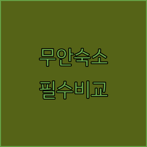 무안 숙소 고민 해결 깔끔한 호텔부터 힐링 펜션까지 완벽 비교