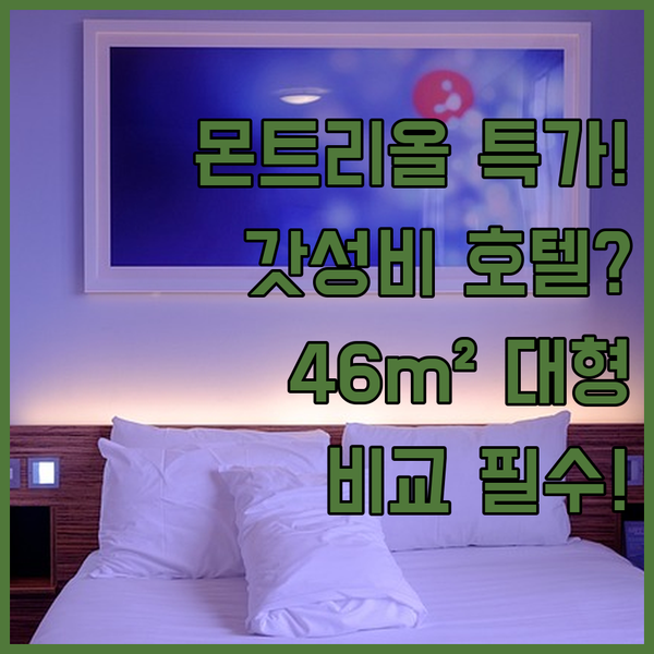 몬트리올 도심 공항 가성비 호텔 완벽 비교 46m² 객실 혜택 놓치지 마세요