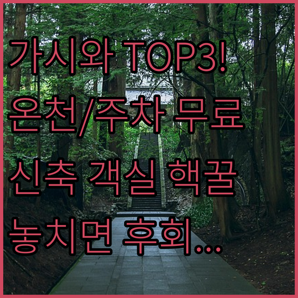 도쿄 근교 가시와 숙소 3파전 온천 무료 주차 신축 객실의 놀라운 비밀