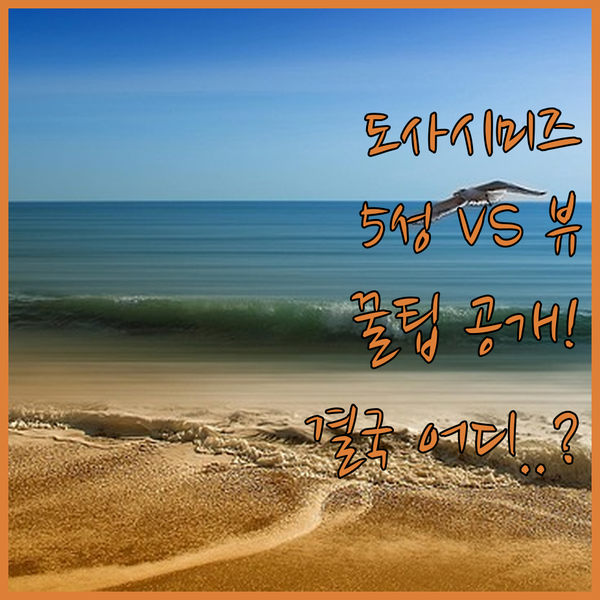 도사시미즈 숙소 선택의 고민 5성급 럭셔리 대 압도적 바다 전망