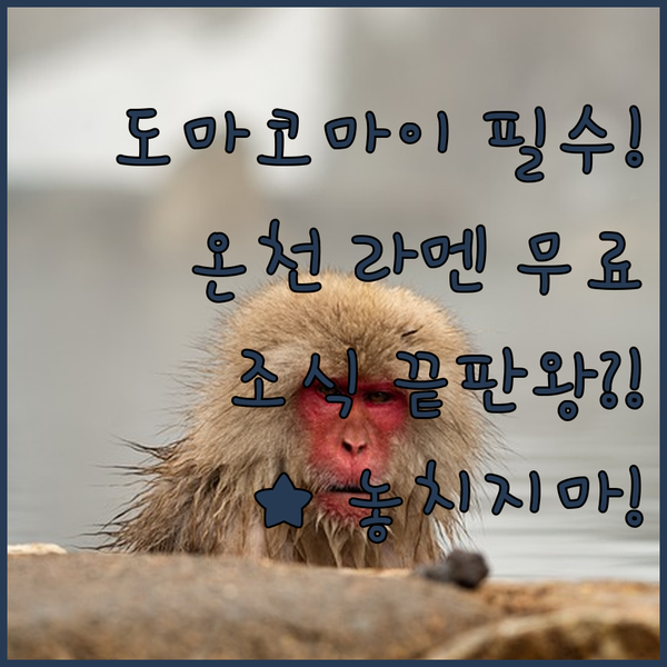 도마코마이 호텔 3파전 천연 온천 무료 라멘 조식 끝판왕 숙소는 어디일까