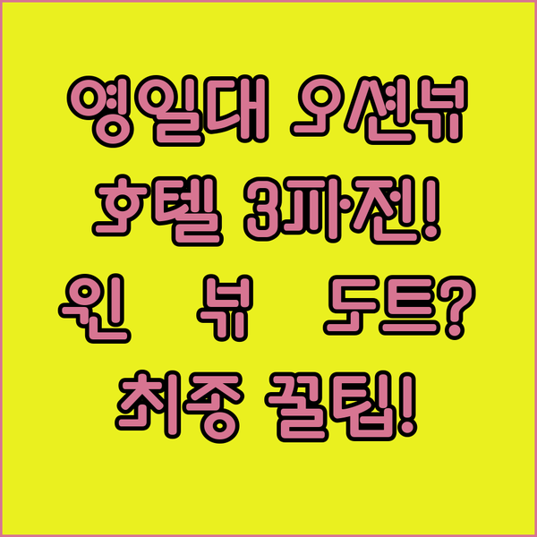 영일대 오션뷰 호텔 3파전 윈 뷰 브라운도트 중 당신의 선택은