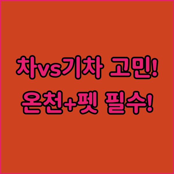 렌터카 vs 기차 구마가야 여행자가 주목해야 할 무료 주차 온천 호텔과 반려동물 숙소