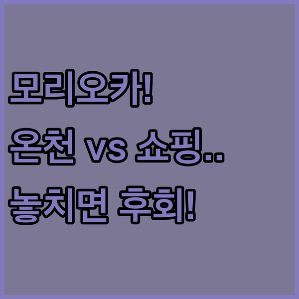 여행 피로 녹이는 천연 온천이냐 쇼핑거리 초근접이냐 모리오카 호텔 최종 선택