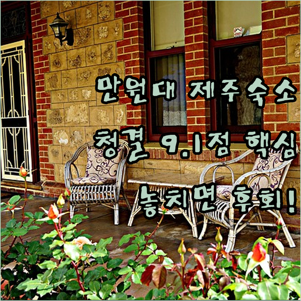 만원대부터 시작 가성비와 청결도 9.1점 제주 여행자들의 극찬을 받은 이호스테이