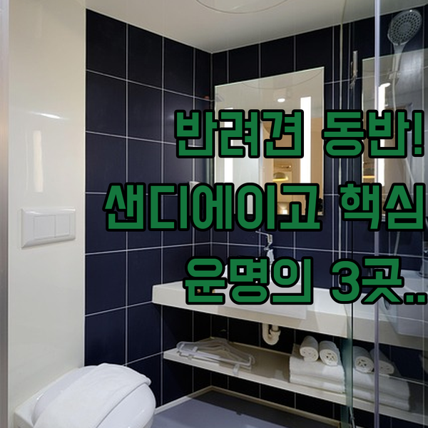 가족 여행 반려견 동반 샌디에이고 미션 밸리 호텔 3곳 운명의 선택을 도와드립니다