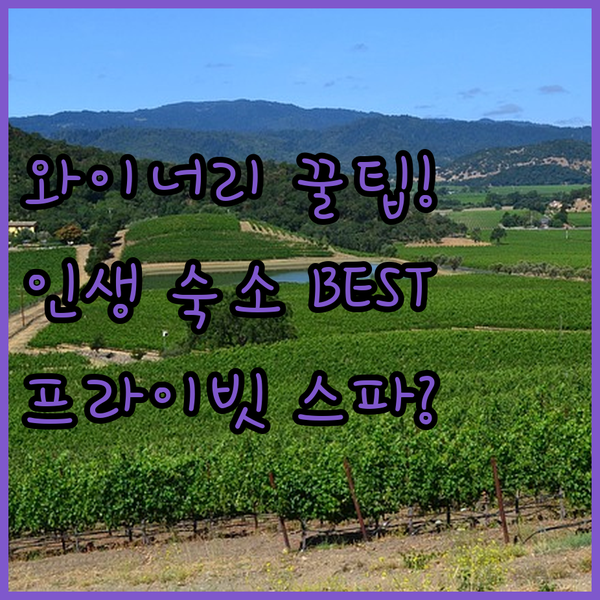 카사블랑카 와이너리 여행자를 위한 최고의 호텔 3가지 옵션 친절 프라이빗 스파 취향별 완벽 추천