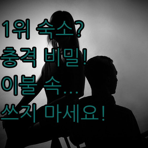 플로리다 게인즈빌 호텔 비교 청결도 1등 숙소의 충격적 비밀