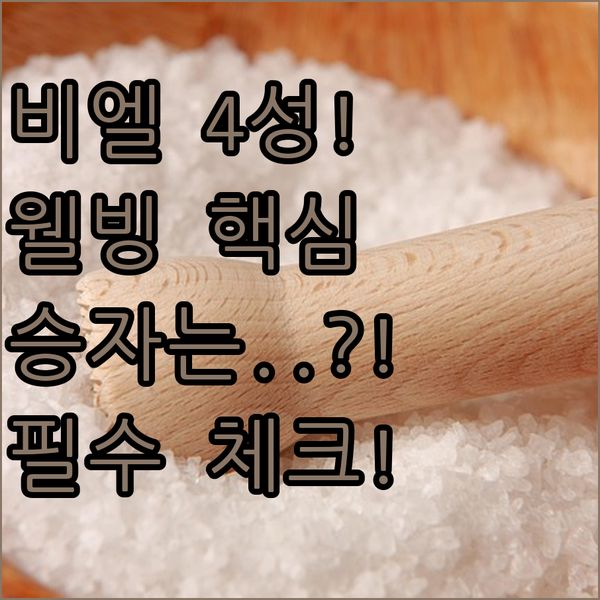 스위스 비엘 호텔 4성급 비교 스타일 접근성 웰빙 시설 승자는