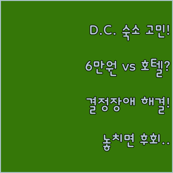 워싱턴 D.C. 숙소 결정 장애 해결 넓은 호텔 객실과 6만원대 도미토리 사이에서 고민 끝