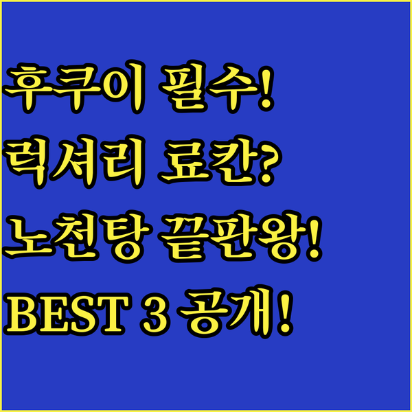 후쿠이 사카이 시 럭셔리 마치야 료칸 노천탕 모든 것을 담은 숙소 BEST 3