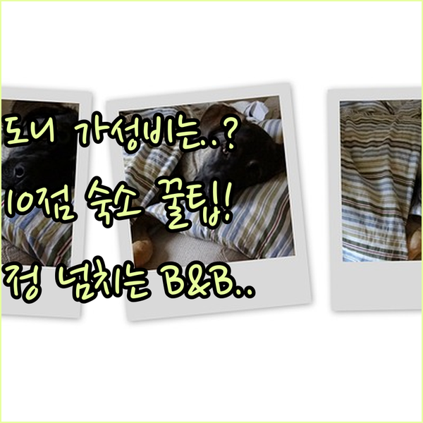 가격 대비 만족도 10점 도니 밀라노바츠 숙소 가성비 아파트부터 정 넘치는 B&B까지 가격 대비 만족도 10점 도니 밀라노바츠 숙소 가성비 아파트부터 정 넘치는 B&B까지