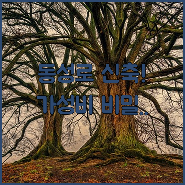 대구 동성로 숙소 자이언트 H 에비뉴 브라운도트 청결 신축 가성비 숨겨진 비밀