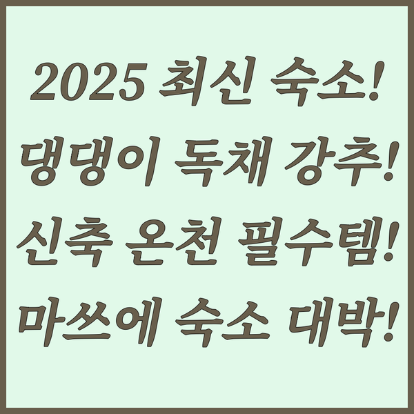 2025년 신축 온천과 반려동물 독채 마쓰에 최고의 숙소 두 곳 파헤치기 2025년 신축 온천과 반려동물 독채 마쓰에 최고의 숙소 두 곳 파헤치기