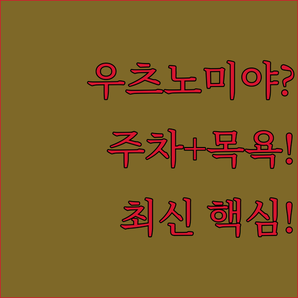 우츠노미야 무료 주차 대중탕 완비 신축 가성비 호텔은 어디