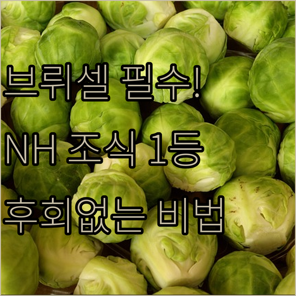 브뤼셀 여행자 필독 그랑플라스 5분 거리 호텔부터 조식 1등 NH까지 후회 없는 선택 비법