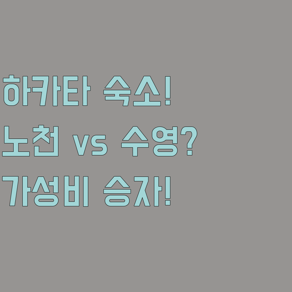 후쿠오카 하카타역 호텔 3파전 노천탕 수영장 가성비 중 당신의 선택은 무엇인가요 후쿠오카 하카타역 호텔 3파전 노천탕 수영장 가성비 중 당신의 선택은 무엇인가요