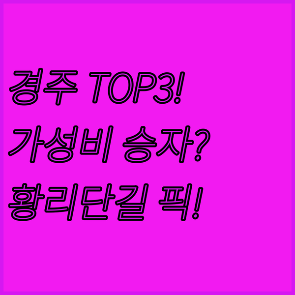 경주 도심 호텔 TOP 3 비교 신라 레거시 지지 시티호텔 황리단길 가성비 승자는 경주 도심 호텔 TOP 3 비교 신라 레거시 지지 시티호텔 황리단길 가성비 승자는