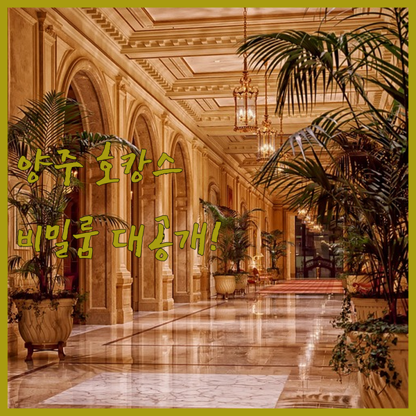 양주 여행 목적지별 숙소 찾기 반려동물 커플 호캉스 성인 전용 드라이브인 룸 비밀