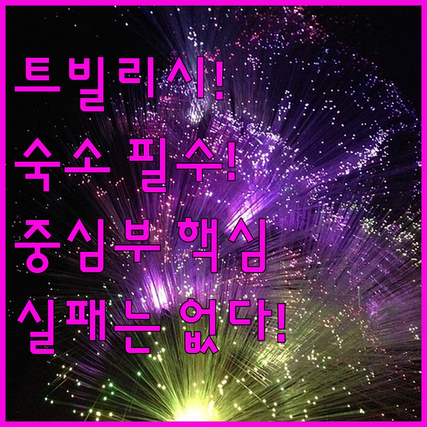 트빌리시 숙소 선택 실패는 없다 중심부 시타딘 이비스 쇼타 완벽 분석 가이드