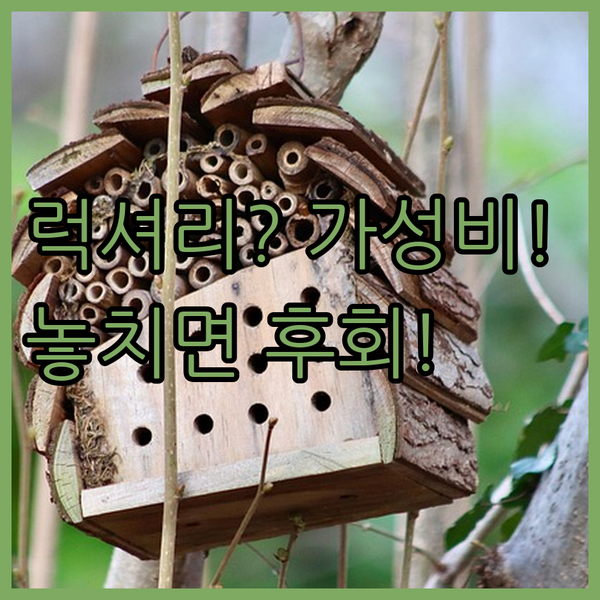 노스 델리 숙소 5성급 럭셔리 vs 10점 만점 가성비의 비밀 뉴델리 여행 필수 가이드