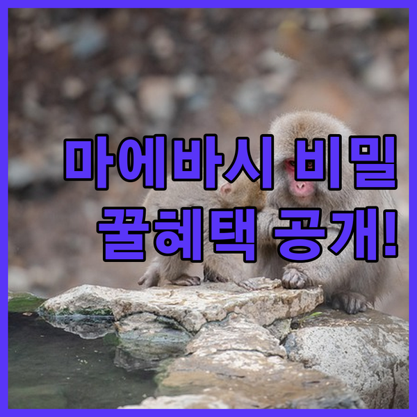 마에바시 숨겨진 숙소 특전 대공개 무료 온천 심야 라면 혜택은 어디