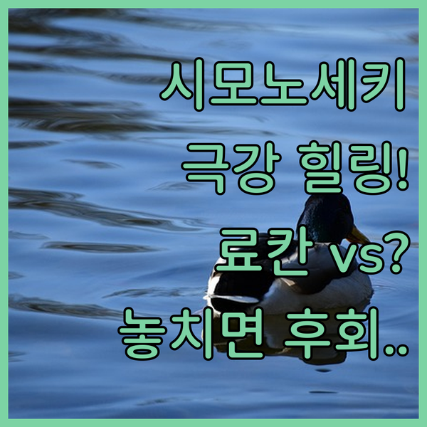 시모노세키 힐링 대결 산속 정통 료칸과 바다 프라이빗 빌라의 선택