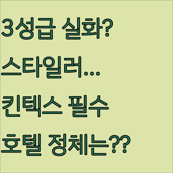 3성급이 맞을까 킨텍스 주변 스타일러 마사지 의자 갖춘 호텔의 정체
