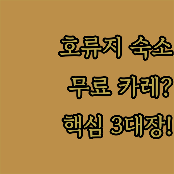 유네스코 호류지 옆 감성 숙소부터 오사카 무료 카레 호텔까지 나라 근교 3대장