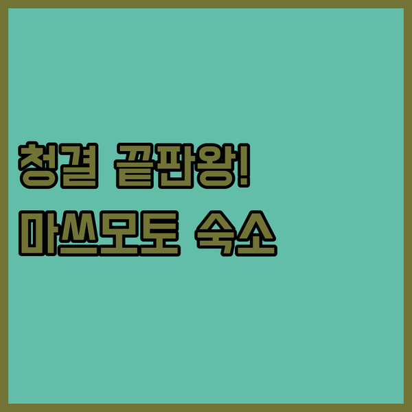 마쓰모토 성 도보 10분 숙소 대욕장 청결도 끝판왕은 어디