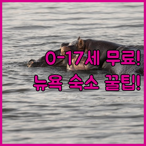 0세부터 17세 아동 무료 앰스터댐(NY) 가족 숙소 캐슬보다 실속 있는 선택 3가지