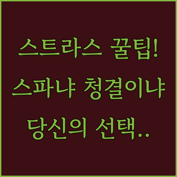 스트라스부르 숙소 비교 최고의 스파 호텔 아테나 vs 청결 끝판왕 K호텔 당신의 선택은
