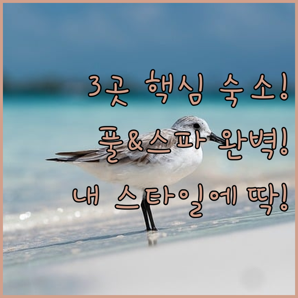 쾰른 브룩 숙소 3곳 공항 14분 스파 풀 키친 당신의 여행 스타일에 정답이 있다