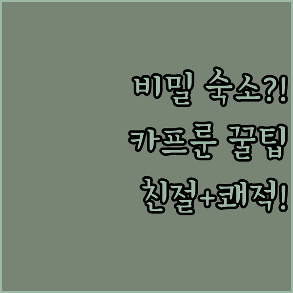 알프스 카프룬의 비밀스러운 숙소 추천 친절한 서비스와 쾌적함 모두 잡은 곳